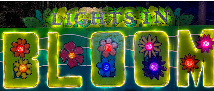 Lights in Bloom | Image Courtesy of Visit Sarasota